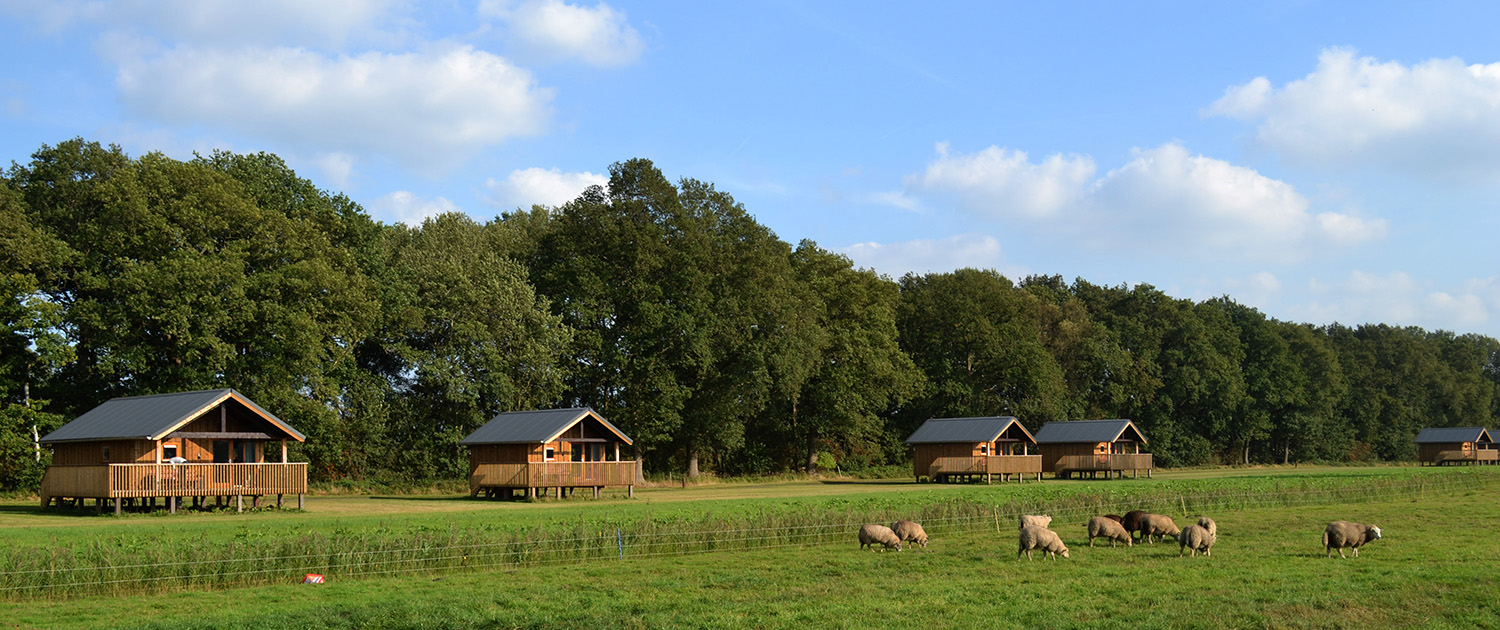 Acker Lodges Drenthe